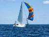 flying spinnaker_05_small.jpg